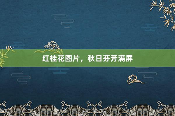 红桂花图片，秋日芬芳满屏
