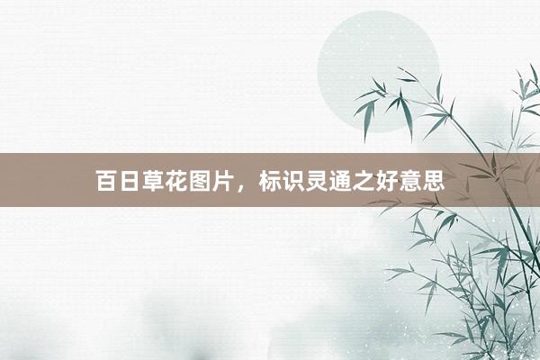 百日草花图片，标识灵通之好意思